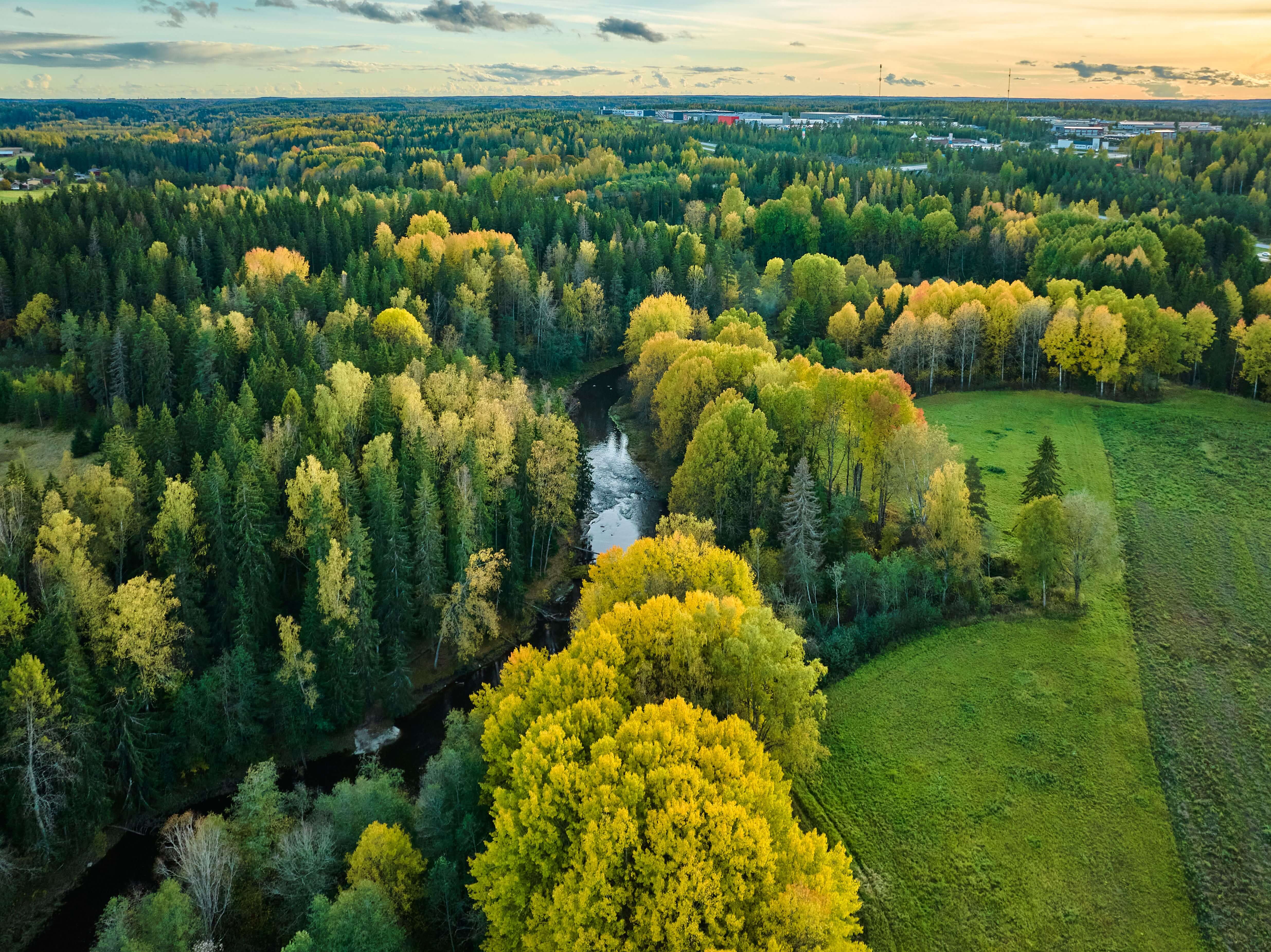 aerial-view-of-a-vibrant-autumn-forest-and-river-2025-02-10-06-58-12-utc