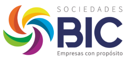 soc-bic_orig-2 soc-bic_orig-2